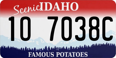 ID license plate 1O7038C