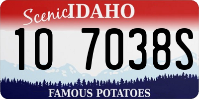 ID license plate 1O7038S