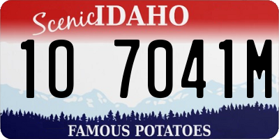 ID license plate 1O7041M