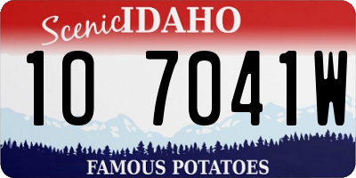 ID license plate 1O7041W