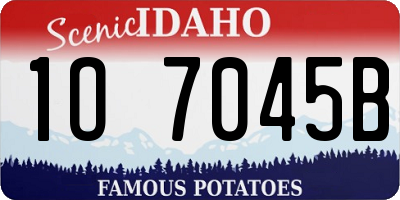 ID license plate 1O7045B