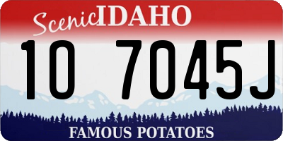 ID license plate 1O7045J