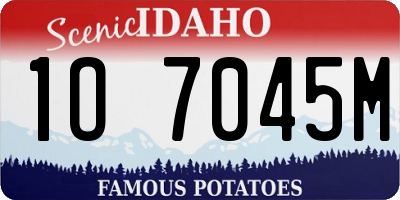 ID license plate 1O7045M