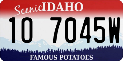 ID license plate 1O7045W