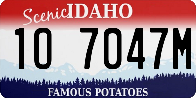 ID license plate 1O7047M