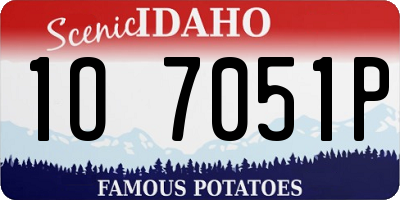 ID license plate 1O7051P