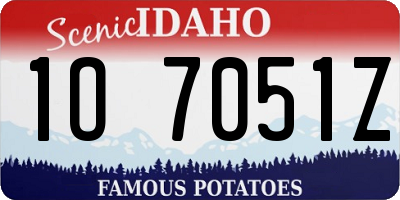 ID license plate 1O7051Z