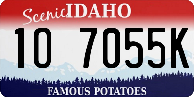 ID license plate 1O7055K