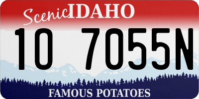 ID license plate 1O7055N