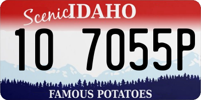 ID license plate 1O7055P