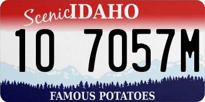 ID license plate 1O7057M