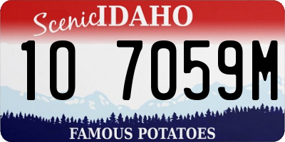 ID license plate 1O7059M