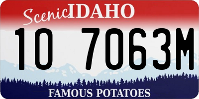 ID license plate 1O7063M
