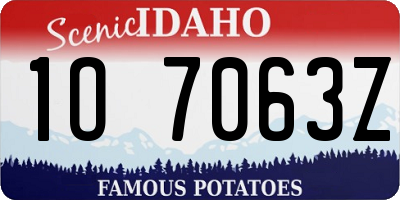 ID license plate 1O7063Z