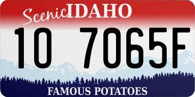 ID license plate 1O7065F