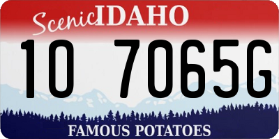 ID license plate 1O7065G