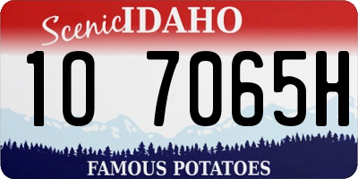 ID license plate 1O7065H
