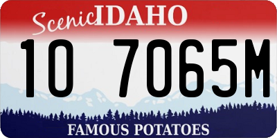 ID license plate 1O7065M