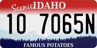 ID license plate 1O7065N