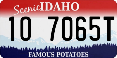 ID license plate 1O7065T
