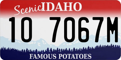 ID license plate 1O7067M