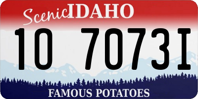 ID license plate 1O7073I