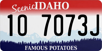 ID license plate 1O7073J