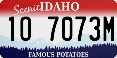 ID license plate 1O7073M
