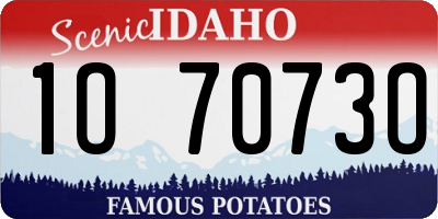 ID license plate 1O7073O