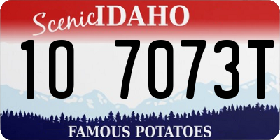 ID license plate 1O7073T