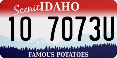 ID license plate 1O7073U