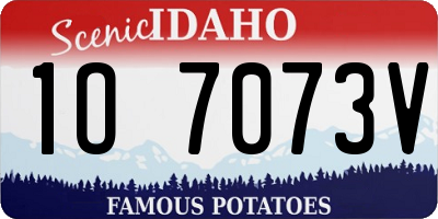 ID license plate 1O7073V