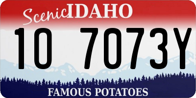 ID license plate 1O7073Y
