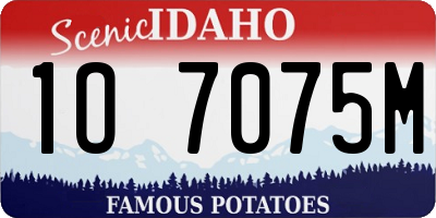 ID license plate 1O7075M