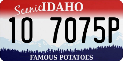ID license plate 1O7075P