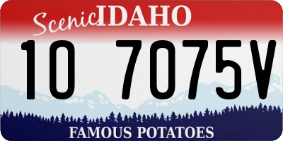 ID license plate 1O7075V