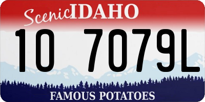 ID license plate 1O7079L