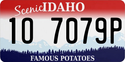 ID license plate 1O7079P