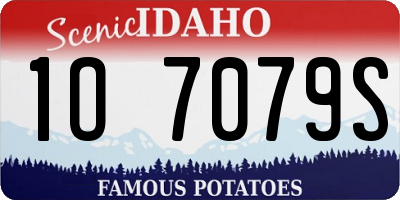 ID license plate 1O7079S