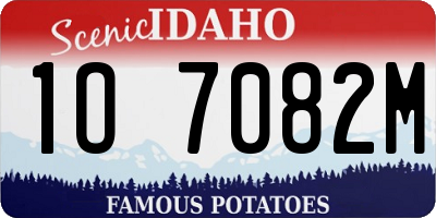 ID license plate 1O7082M
