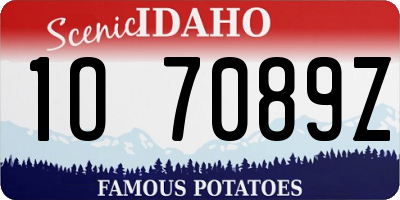 ID license plate 1O7089Z