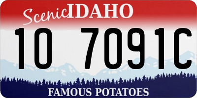 ID license plate 1O7091C