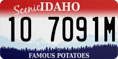 ID license plate 1O7091M