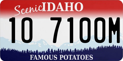 ID license plate 1O7100M
