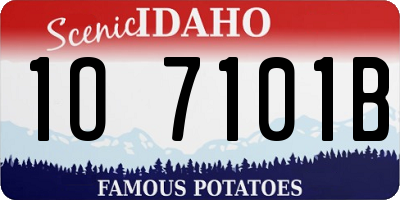ID license plate 1O7101B