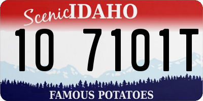 ID license plate 1O7101T