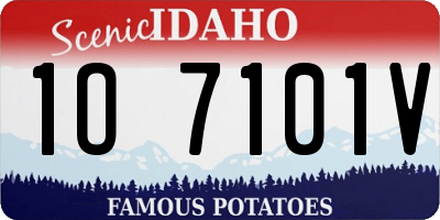 ID license plate 1O7101V