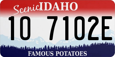 ID license plate 1O7102E