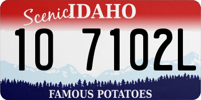 ID license plate 1O7102L