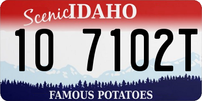 ID license plate 1O7102T
